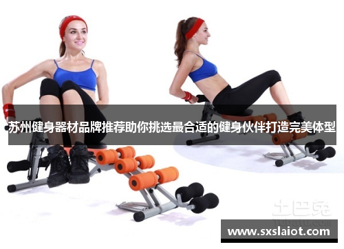 苏州健身器材品牌推荐助你挑选最合适的健身伙伴打造完美体型