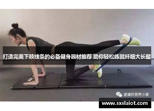 打造完美下肢线条的必备健身器材推荐 助你轻松练就纤细大长腿