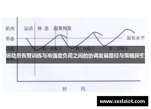 运动员恢复训练与高强度负荷之间的协调发展路径与策略探索