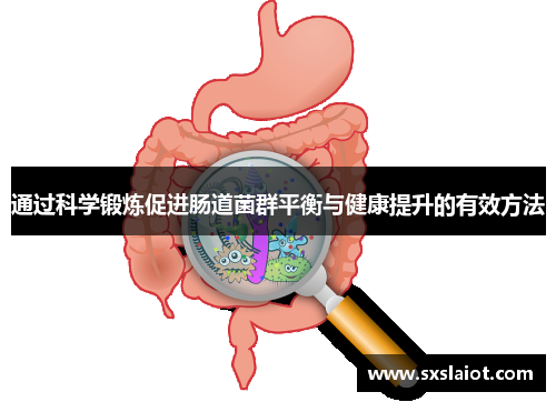 通过科学锻炼促进肠道菌群平衡与健康提升的有效方法