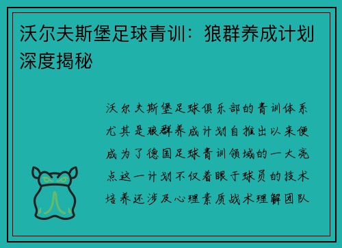 沃尔夫斯堡足球青训：狼群养成计划深度揭秘