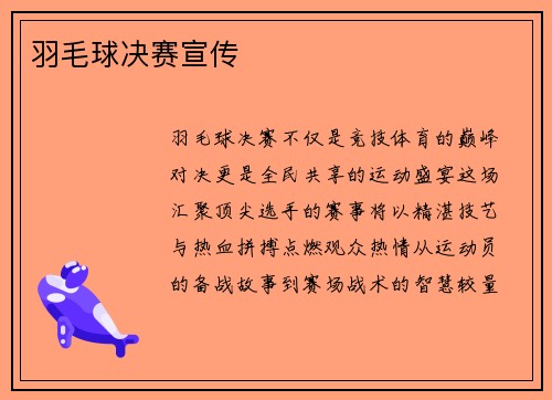 羽毛球决赛宣传