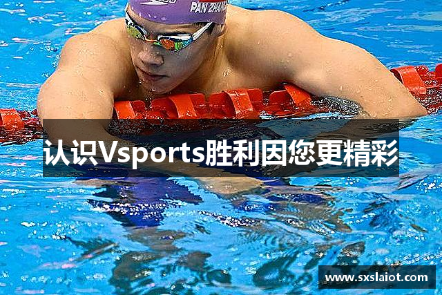 认识Vsports胜利因您更精彩